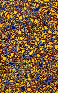 Michael David Mayo, Synapse