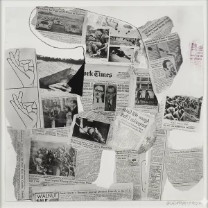 Robert Rauschenberg, Features XX